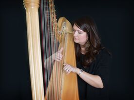 Melissa Tardiff Dvorak Harpist - Harpist - Falls Church, VA - Hero Gallery 1