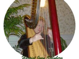 Joan Steinberg Harpist - Harpist - Philadelphia, PA - Hero Gallery 1