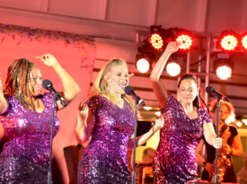 The Chiclettes - Cover Band - Massapequa, NY - Hero Gallery 2