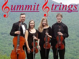SUMMIT Strings - String Quartet - Boone, NC - Hero Gallery 4