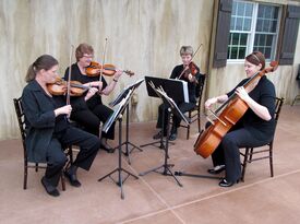 Metropolitan String Quartet - String Quartet - Omaha, NE - Hero Gallery 4