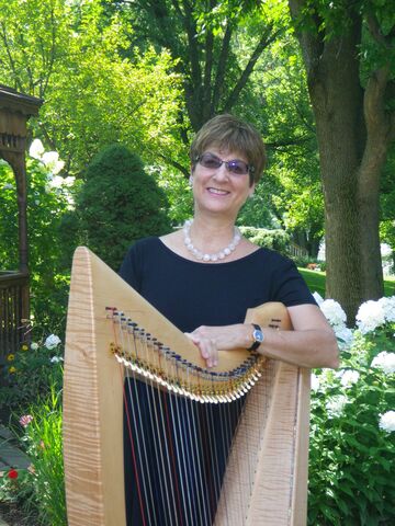 Meredith Kohn Bocek - Harpist - Vestal, NY - Hero Main