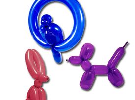 Rj The Jump Around Balloon Artist - Balloon Twister - Locust Grove, VA - Hero Gallery 1