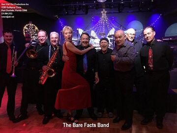 The Bare Facts - Cover Band - Tampa, FL - Hero Main