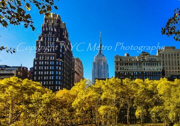 NYC Metro Photography - Photographer - New York City, NY - Hero Main