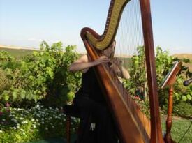 Lauren C. Sharkey - Harpist - Sacramento, CA - Hero Gallery 2