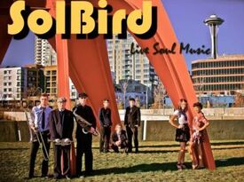 Solbird: Live Soul Music - Motown Band - Seattle, WA - Hero Gallery 4