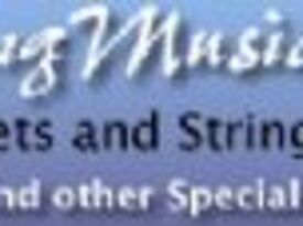 StringMusic - String Quartet - San Antonio, TX - Hero Gallery 4