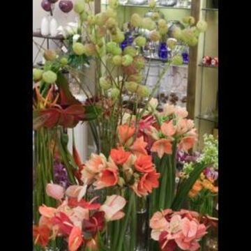 Nature's Gallery Florist - Florist - Philadelphia, PA - Hero Main