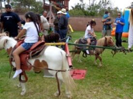 Unicorn & California Pony Rides - Pony Rides - Sanger, CA - Hero Gallery 1