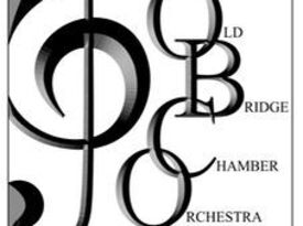 Old Bridge Chamber Orchestra String Quartet - String Quartet - Woodbridge, VA - Hero Gallery 1