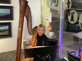 Mary Ellen Holmes - Harpist - Fort Collins, CO - Hero Gallery 4