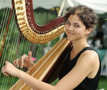 Stephanie Claussen, harpist - Harpist - Saint Paul, MN - Hero Main