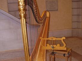 Elizabeth Dechent, Harpist - Harpist - Richmond, VA - Hero Gallery 1