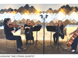 Sunshine Time Productions - String Quartet - Orlando, FL - Hero Gallery 1