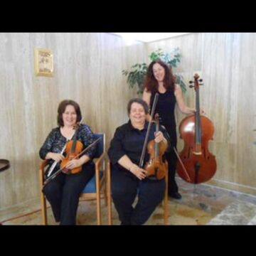 OhioStrings4Hire - String Quartet - Akron, OH - Hero Main