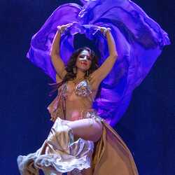 Meesha~Captivating Bellydance Performances, profile image