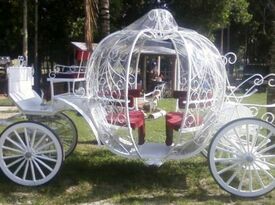 Every Kids Dream Petting Zoo, & Horse Carriage - Event Limo - Loxahatchee, FL - Hero Gallery 1