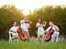 Viol Consort String Ensemble - String Quartet - McAllen, TX - Hero Gallery 3