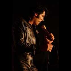 Terry Phillips As Elvis, profile image