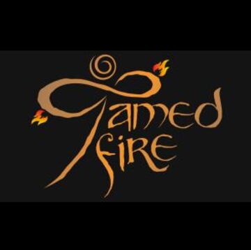 Tamed Fire - Fire Dancer - Fresno, CA - Hero Main
