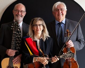 Stringtown Trio - Celtic Band - Mason, MI - Hero Main
