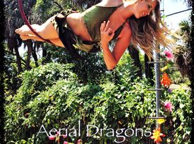 Aerial Dragons LLC - Circus Performer - Tampa, FL - Hero Gallery 4