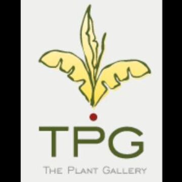 The Plant Gallery - Florist - New Orleans, LA - Hero Main