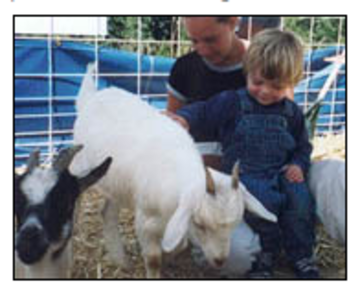Noah's Ark Traveling Petting Zoo and Pony Rides - Petting Zoo - Denver, CO - Hero Main
