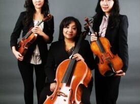 Amaris Trio - Classical Quartet - Reston, VA - Hero Gallery 1