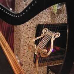 Sally Morris - the Magical Harp, profile image