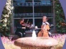 StringMusic - String Quartet - San Antonio, TX - Hero Gallery 2
