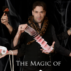 Magic of Alexo: Long Island Party Magician, profile image