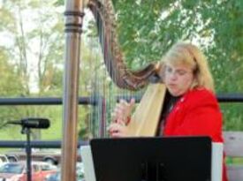 Harping Along - Sherri L. Trometter - Harpist - Sunbury, PA - Hero Gallery 3