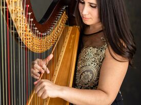 Laura Palmieri Michigan Harpist - Harpist - Birmingham, MI - Hero Gallery 1