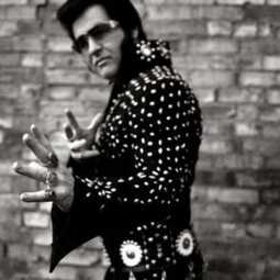 Elvis Impersonator/Elvis Travolta, profile image