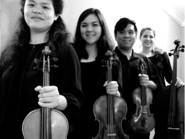 Tower String Quartet - String Quartet - Sacramento, CA - Hero Main