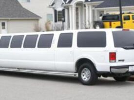 Fort Wayne Connection Limousine - Party Bus - Fort Wayne, IN - Hero Gallery 2