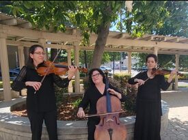 Norvall String Quartet - Classical Quartet - Burbank, CA - Hero Gallery 2