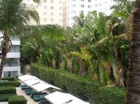 Sagamore Hotel - Video Garden - Hotel - Miami, FL - Hero Gallery 3