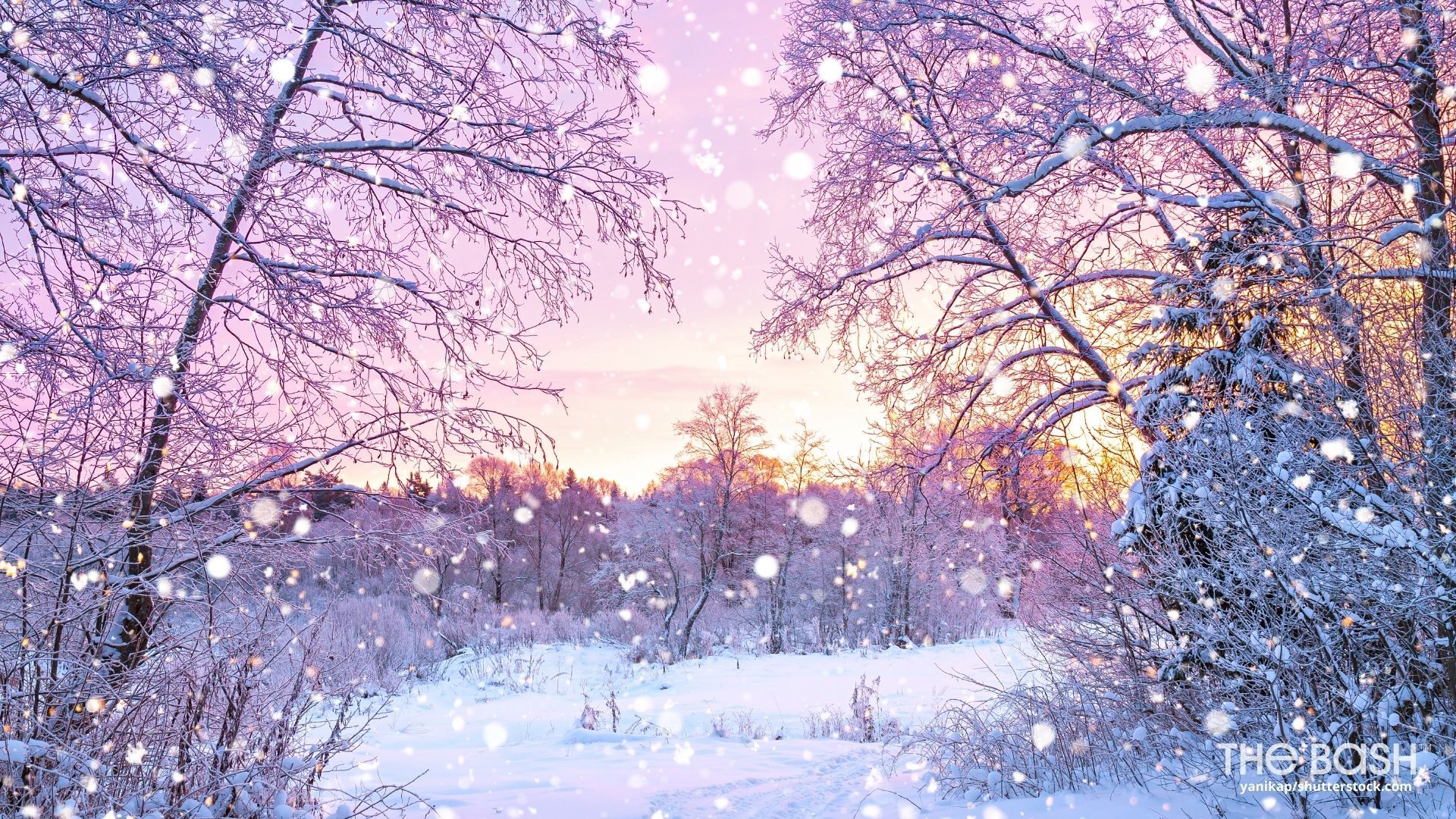 winter backgrounds