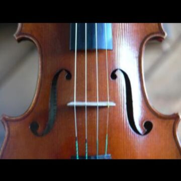 Perfect Harmony String Ensemble - String Quartet - Washington, DC - Hero Main
