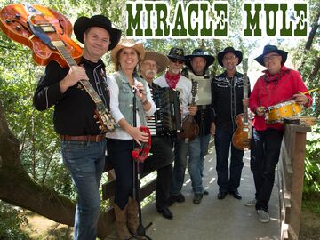 Miracle Mule - Americana Band - San Rafael, CA - Hero Main