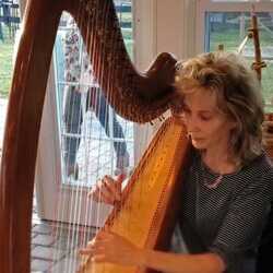 Elfan Harp, profile image