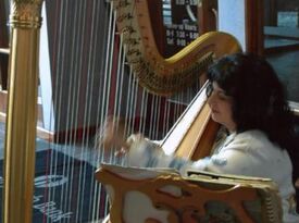 Harpist Phyllis Hoffman Platt - Harpist - Lenexa, KS - Hero Gallery 4