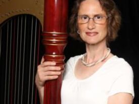 Sue Druckenmiller - Harpist - Saint Ann, MO - Hero Gallery 1