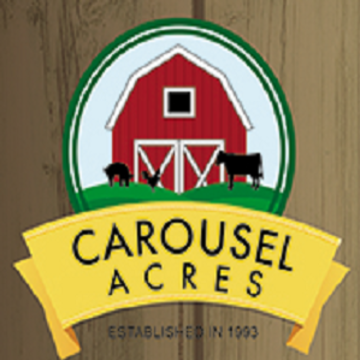 Carousel Acres - Dunk Tank - Detroit, MI - Hero Main