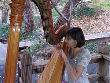 Maia Wright Jourde - Harpist - Fort Worth, TX - Hero Main