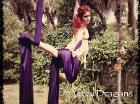 Aerial Dragons LLC - Circus Performer - Tampa, FL - Hero Gallery 2