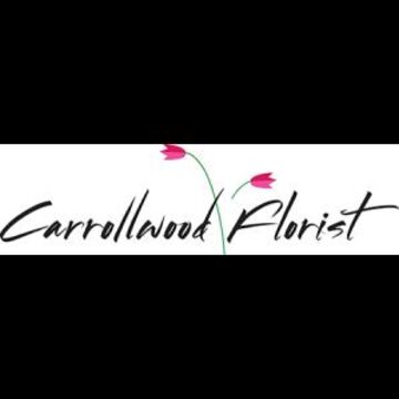 Carrollwood Florist, Inc. - Florist - Tampa, FL - Hero Main